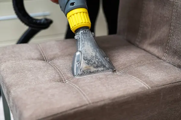 Upholstery Cleaning